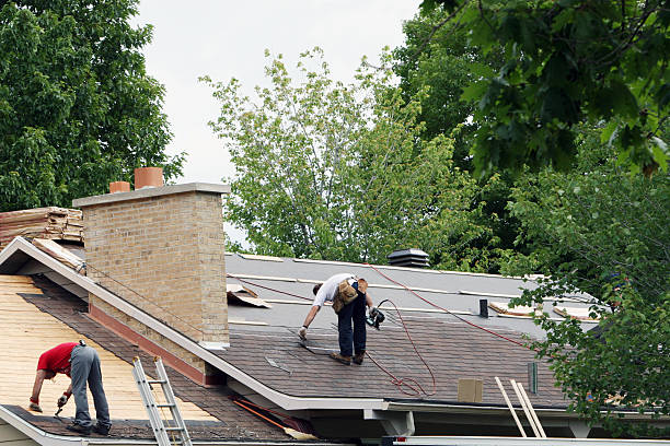 Best Gutter Installation and Roofing  in Oconto Falls, WI
