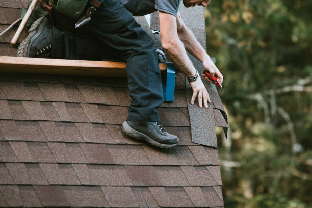 Best Shingle Roofing Installation  in Oconto Falls, WI
