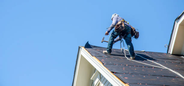 Best Roof Waterproofing Services  in Oconto Falls, WI
